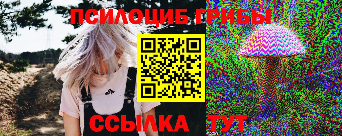 Галлюциногенные грибы Cubensis Северск