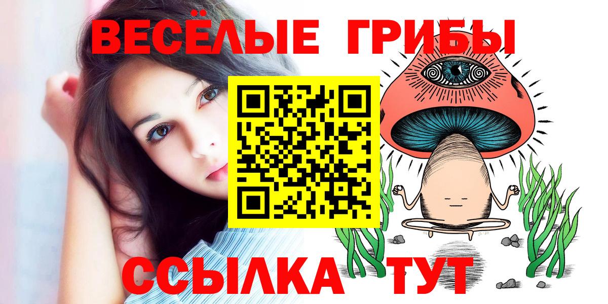 Галлюциногенные грибы Psilocybine cubensis  где купить наркоту  Северск  Вход с VPN 